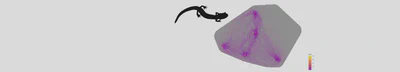 Ecological Flow of Jordan's Red Cheeked Salamander