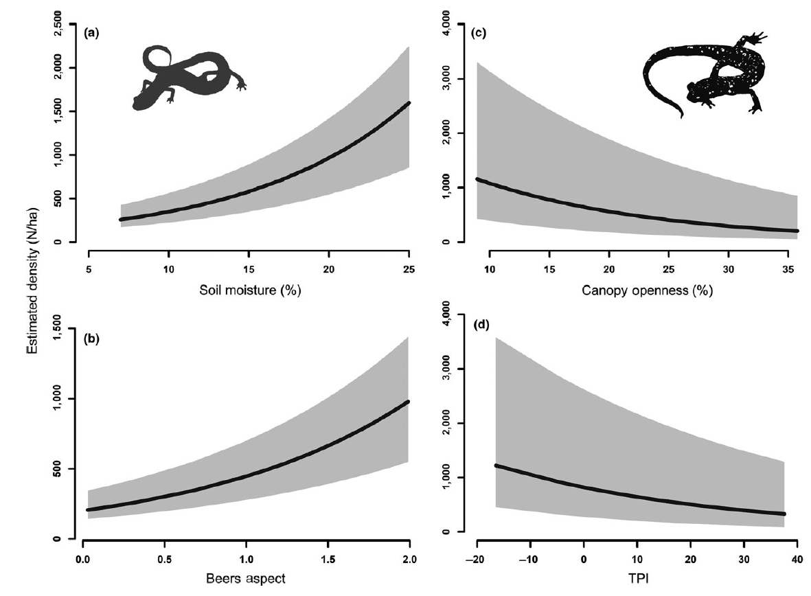 Environmental gradients in old‐growth Appalachian forest predict fine‐scale distribution, co‐occurrence, and density of woodland salamanders