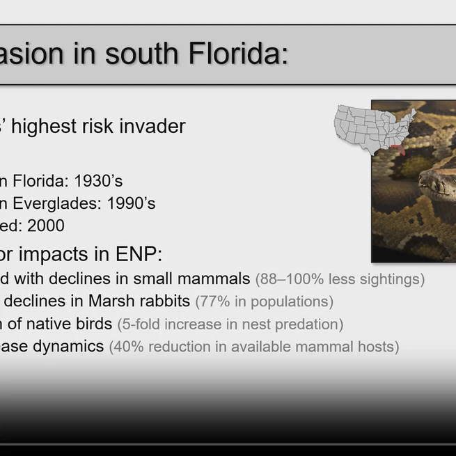 Predicting the spread of invasive Burmese pythons in South Florida